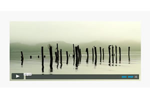 iStu | Home Page